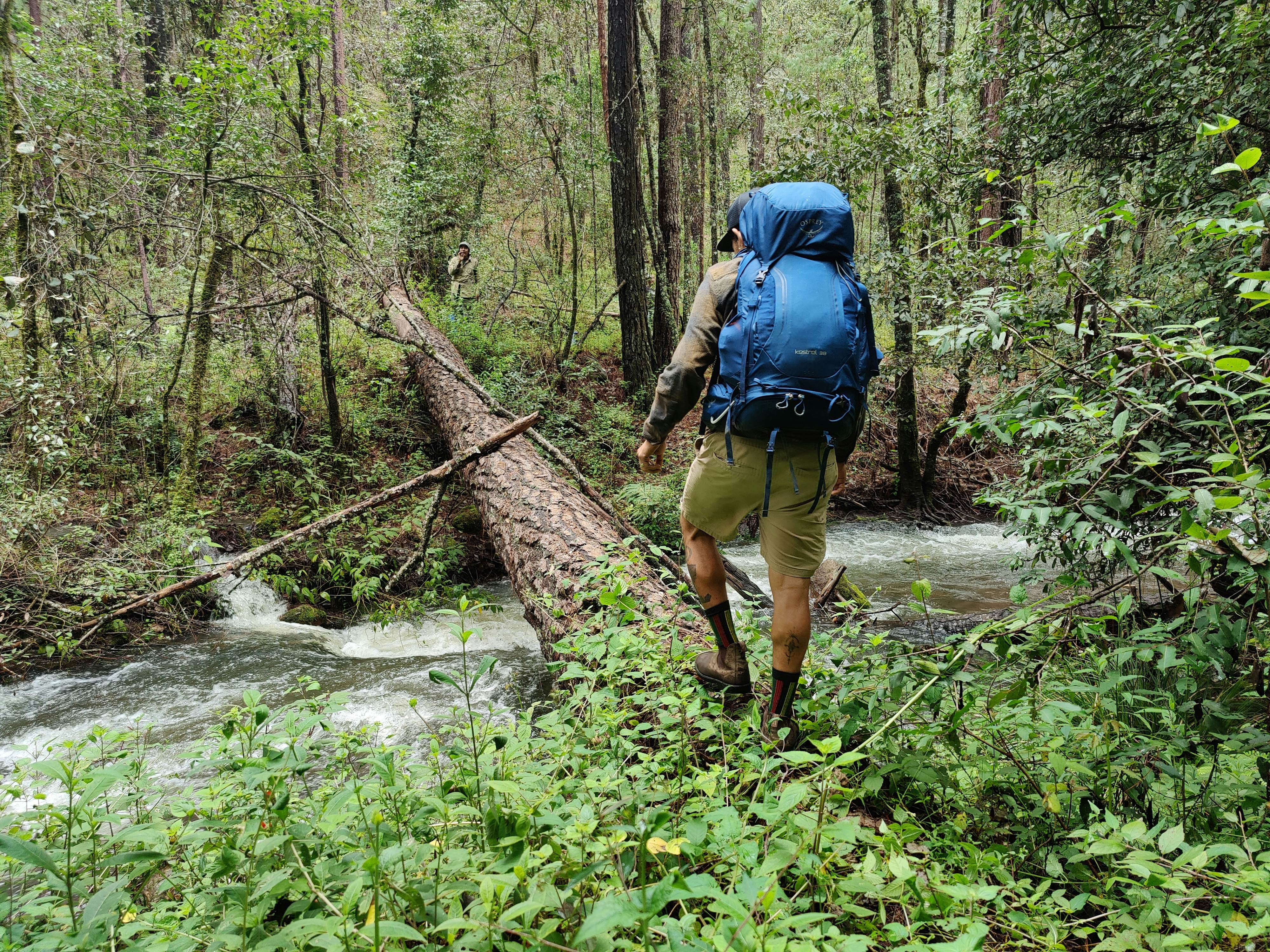 Reviving Oaxaca's mountain trails with every hike - Lonely Planet